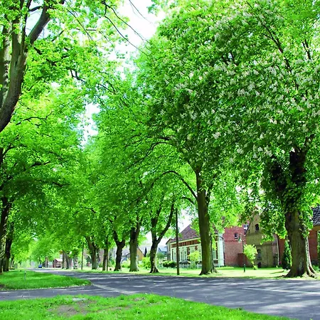 Reihenhaus Mit Wlan In Am Mueritzsee 度假居 Buchholz (Mecklenburg-Vorpommern)