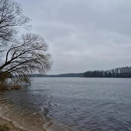 Komfortables Reihenhaus Mit Wlan In Am Mueritzsee * Buchholz (Mecklenburg-Vorpommern)