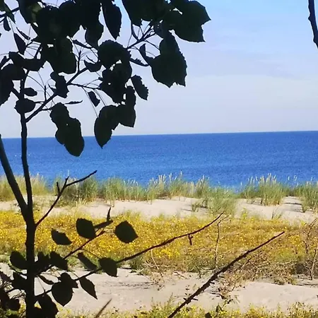 Reihenhaus Mit Wlan In Am Mueritzsee