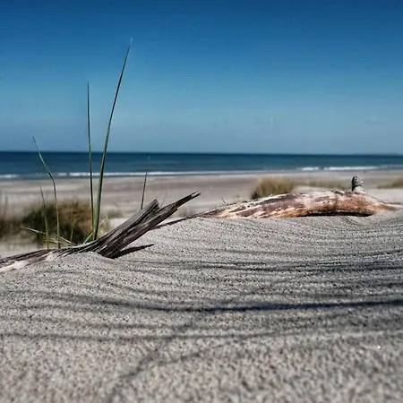 Reihenhaus Mit Wlan In Am Mueritzsee 度假居 Buchholz (Mecklenburg-Vorpommern)