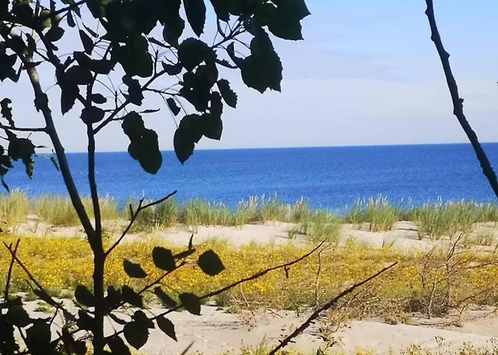 Reihenhaus Mit Wlan In Am Mueritzsee