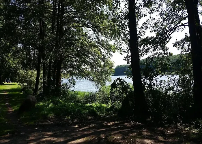 Reihenhaus Mit Wlan In Am Mueritzsee Buchholz (Mecklenburg-Vorpommern)